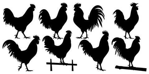 Vector art of a collection of eight majestic rooster silhouettes, isolated on white background, each showcasing unique postures and tail feather details