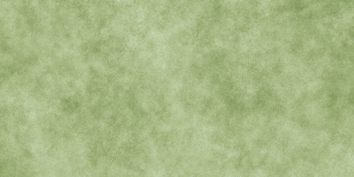 Abstract Watercolor green texture with abstract washes and brush strokes. Brush stroked painting green Watercolor paper texture. light colorful with white background and blurred pattern.