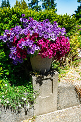 Sunken Garden Flower Pot