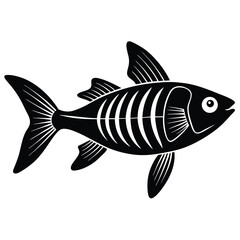 x ray letra fish vector Illustrator 
