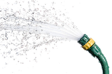 A refreshing splash of water from a garden hose, capturing the droplets as they dance and sparkle in the air, isolated on white background