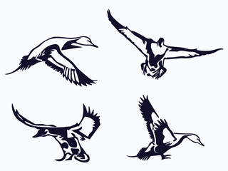 flying duck vector illustration, collection of flying duck silhouette on white background graphic art