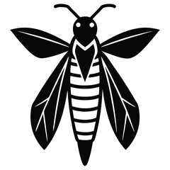 yellow jacket  Illustrator 