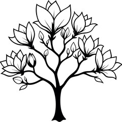 Obraz premium Black and White Magnolia Tree Blossom Illustration