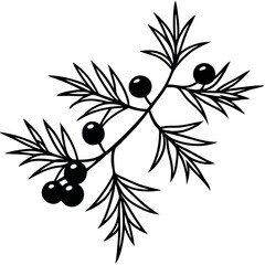 Black Line Art Juniper Branch with Berries Close Up