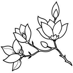 Black Line Art Magnolia Branch Flowers Buds vector