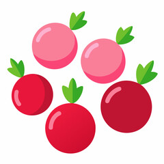 Minimal Radish Rounds Vector