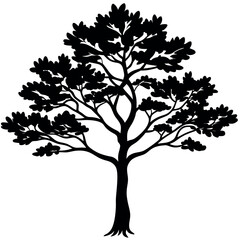 Black Silhouette Juniper Tree Bushy Branches Line Art