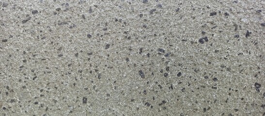Coarse Grained Gray Andesite Stone Surface Texture
