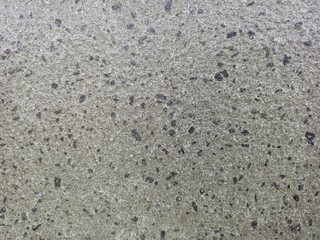 Coarse Grained Gray Andesite Stone Surface Texture