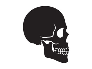 Black silhouette of human skull in side view isolated on white background, graphic illustration. concept of anatomy, halloween icon, skull art, design element