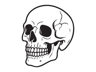 Graphic illustration of human skull, isolated on white background, perfect for anatomy studies, halloween decor, tattoo design, educational material, Black outline, death symbol