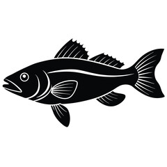 zander fish vector Illustrator 