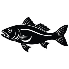zander fish vector Illustrator 