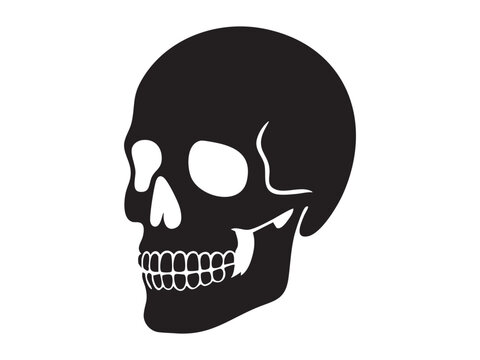 Black silhouette of human skull in side view, isolated on white background, graphic illustration. concept of anatomy, halloween decoration, icon, design element