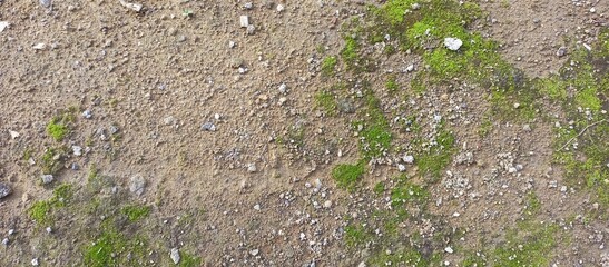 Gravelly Earth Texture with Patches of Green Moss