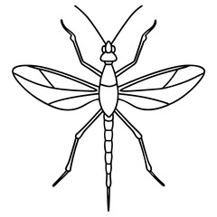 Minimalist Stick Insect Line Art Illustration
