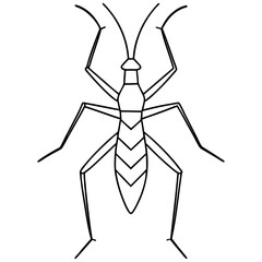 Minimalist Stick Insect Line Art Illustration