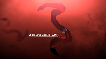 A Strain of Ebola virus disease in Human Body

No AI was used in the making of this content. Clip rendered in Blender and After Effects.