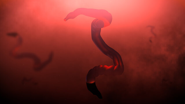 A Strain of Ebola virus disease in Human Body

No AI was used in the making of this content. Clip rendered in Blender and After Effects.