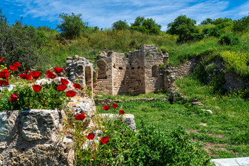 Ancient ruins and red poppies in Akrokorinthos