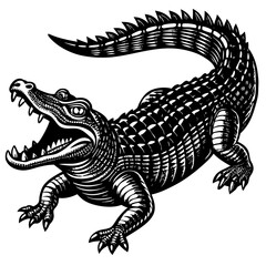 Obraz premium vector image of a dragon