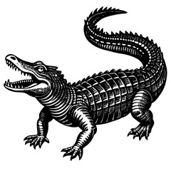 Fototapeta premium dragon on a black background