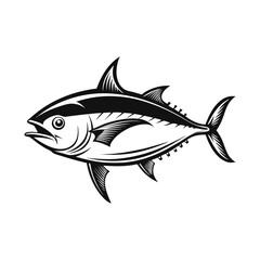 fish on a white background