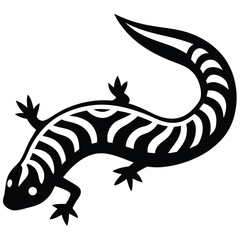 salamandet  Illustrator 