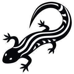 salamandet  Illustrator 