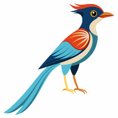 Elegant Paradise Flycatcher Vector