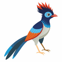 Elegant Paradise Flycatcher Vector
