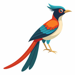 Elegant Paradise Flycatcher Vector