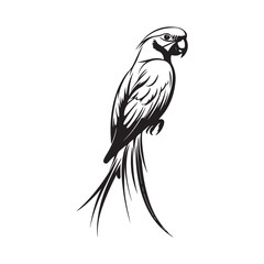 Fototapeta premium A detailed illustration of a parrot perched on a branch.