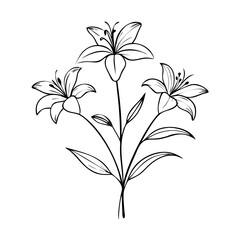 Orange Wildflower Clipart – Hand-Drawn Botanical Floral Illustration for Stickers, Sublimation, Cards & DIY Craft Projects
