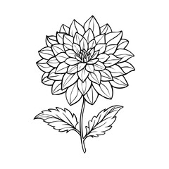 Orange Wildflower Clipart – Hand-Drawn Botanical Floral Illustration for Stickers, Sublimation, Cards & DIY Craft Projects