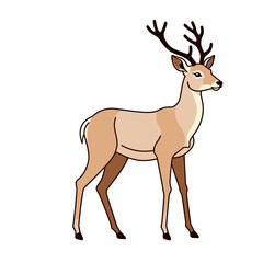 Fototapeta premium Cartoon Illustration of a Majestic Deer-Detailed Deer Image-Beautiful Vector Deer with Antlers-Cute Deer Cartoon Character-Wildlife Animal Illustration