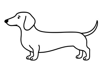 Dachshund Side View Vector Illustration