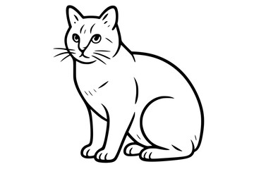 Manx Cat Vector Drawing in Sitting Pose