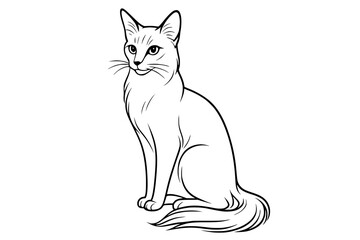 Balinese Cat Vector Drawing in Elegant Style