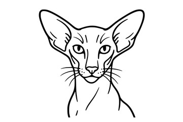 Obraz premium Oriental Shorthair Cat Line Art