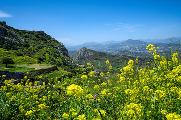 Wildflowers and Akrokorinthos fortress above valley