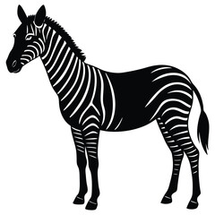 zorsi cector sihouette