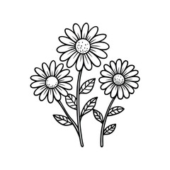Chamomile Doodle Hand-Drawn Flowers Vector Illustration – Botanical Sketch, Floral Design, Nature Art, Cute

