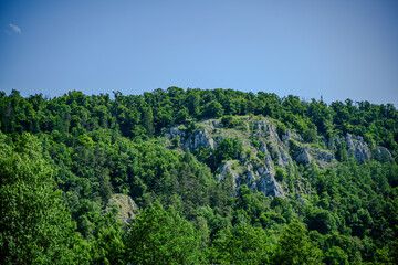 Fototapeta premium Lush green hillside with rocky outcrop under clear blue sky in afternoon light