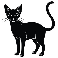 abyssinian cat vector
