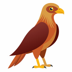 Simple Marsh Harrier Illustration