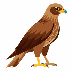 Simple Marsh Harrier Illustration