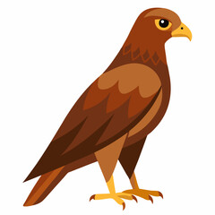 Simple Marsh Harrier Illustration