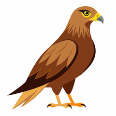 Simple Marsh Harrier Illustration